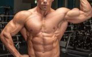 Как поднять верх бицепса: 6 вариантов решения проблемы!