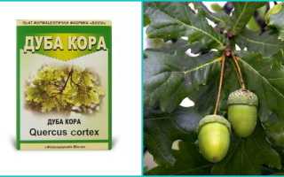 Кора дуба: от чего помогает, от каких болезней